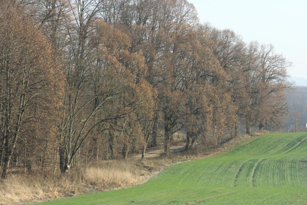 Zielone Okiennice Мілкі Екстер'єр фото