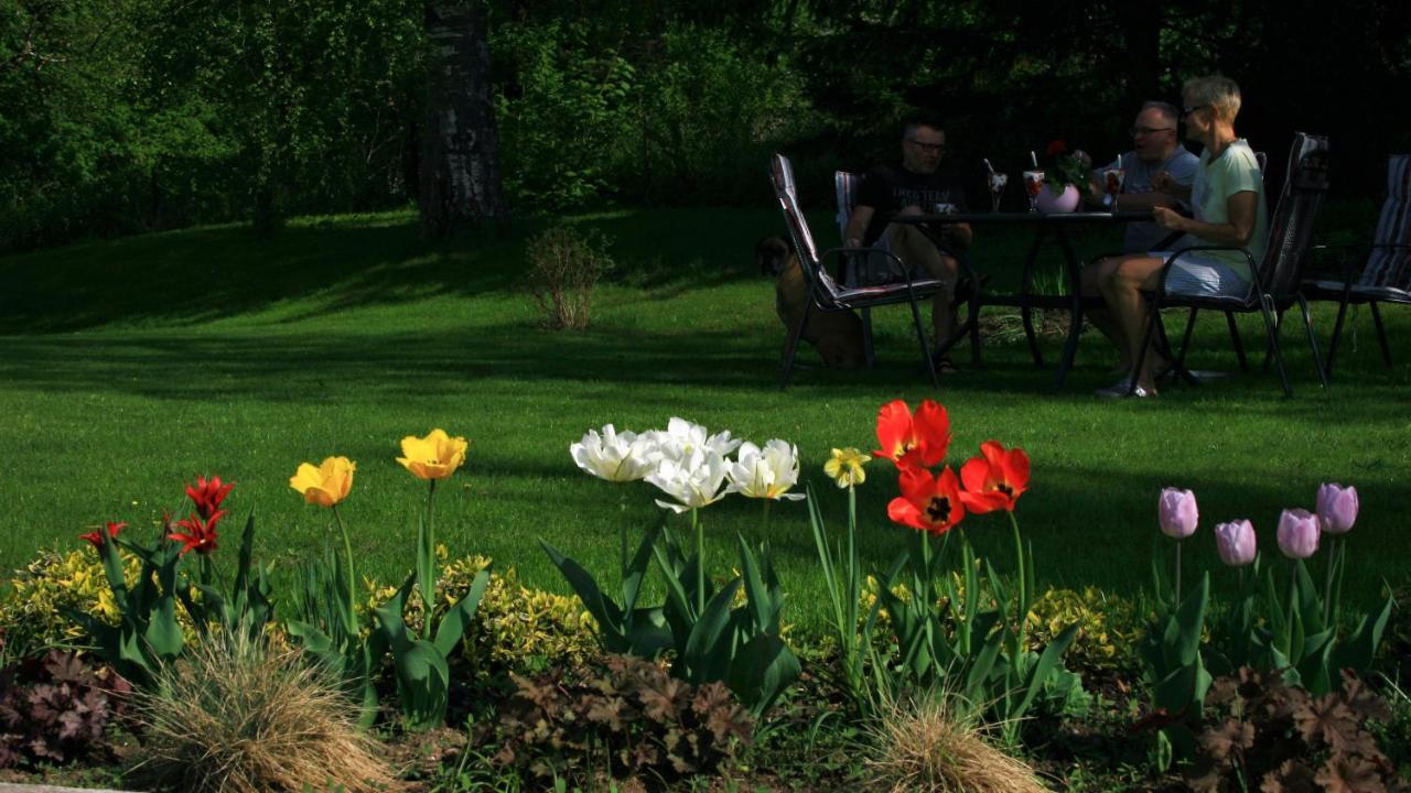 Zielone Okiennice Мілкі Екстер'єр фото